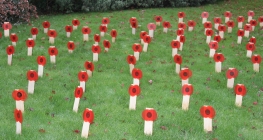 Field of Poppies Commemorates Former Ashby Students