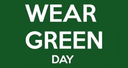 Wear Green for Ewan